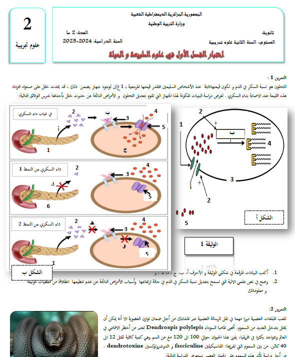 اختبار الفصل الاول في العلوم الطبيعية للسنة 2 ع ت مع التصحيح 2024 pdf